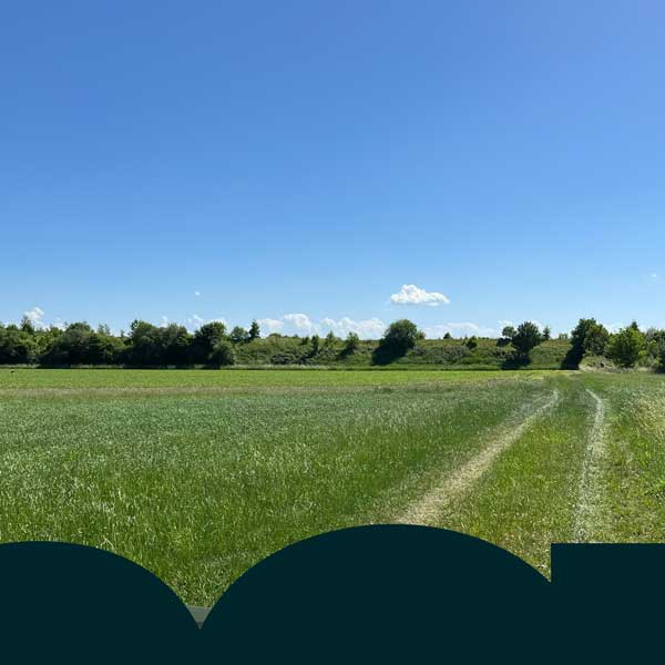 Foto vom grünen Feld bei blauem Himmel in Wiedergeltingen.